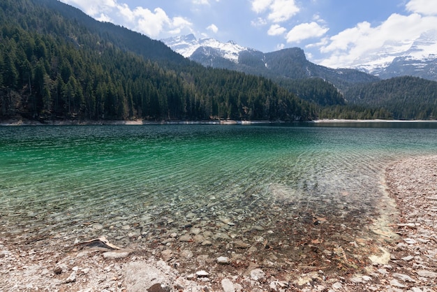 Tovel lake in frame of stony shore and Italian Alps covered with forest and snow Trentino Italy