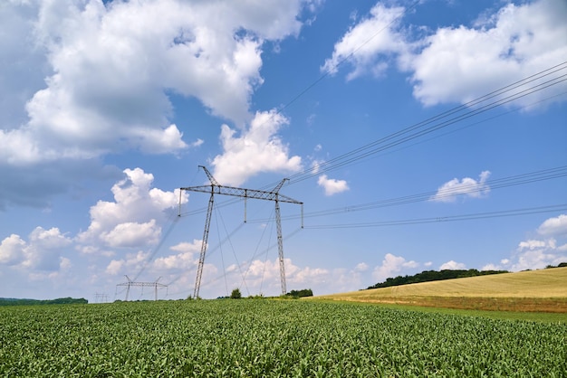 Tower with electric power lines for transfering high voltage electricity located in agricultural cornfield. Delivery of electrical energy concept.