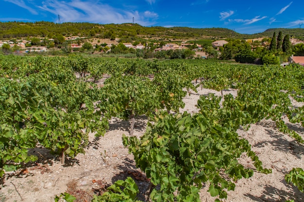 Photo town cruzy in languedoc-roussillon province in france