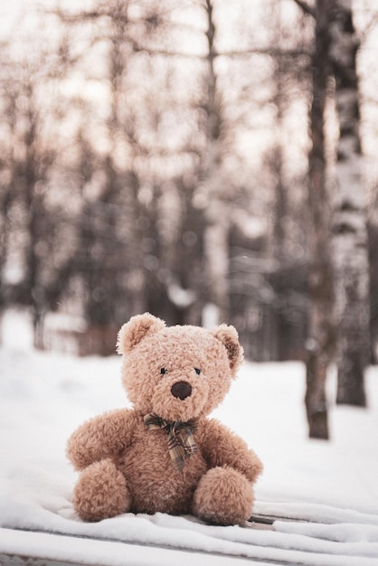 The toy bear was left in the winter at the children's playground