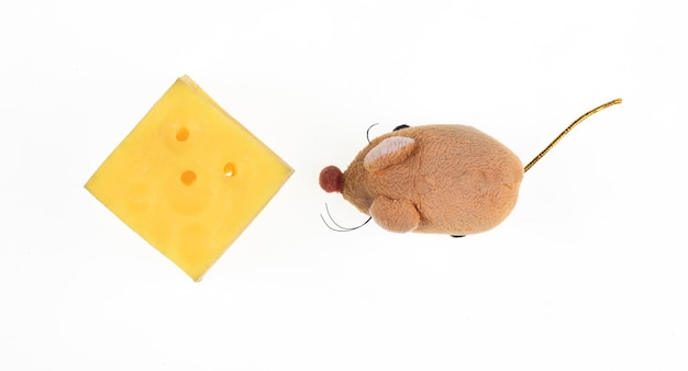 toy mouse and cheese isolated on white background