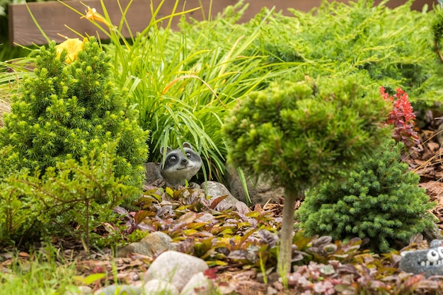 Toy raccoon among the plants in the garden