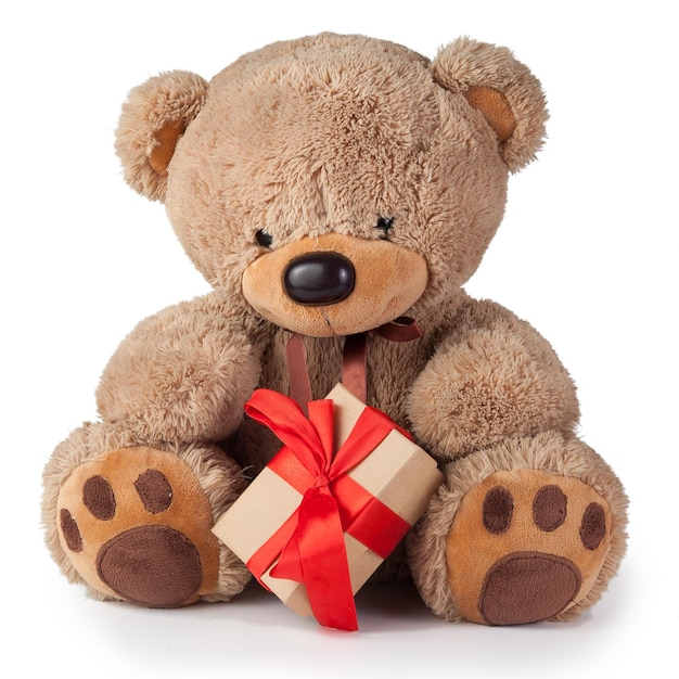 Toy teddy bear gives gifts on a white background