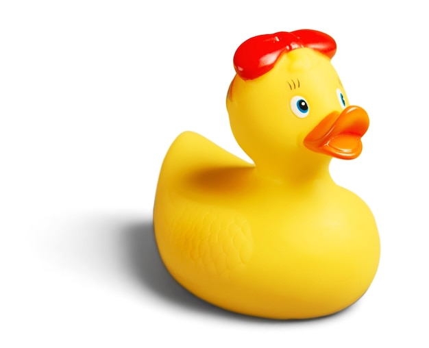 Toy yellow isolated rubber rubber duck rubber ducky bath toy