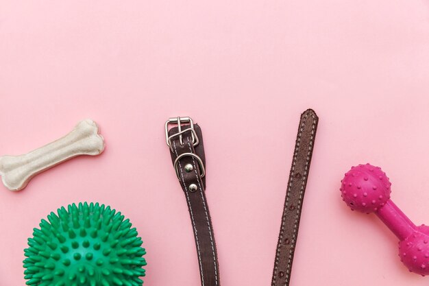 Toys and accessories for dog playing and training isolated on pink table