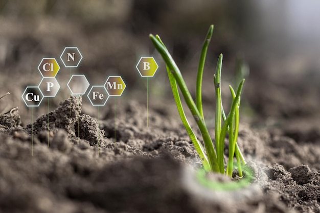 Trace elements additives field icons