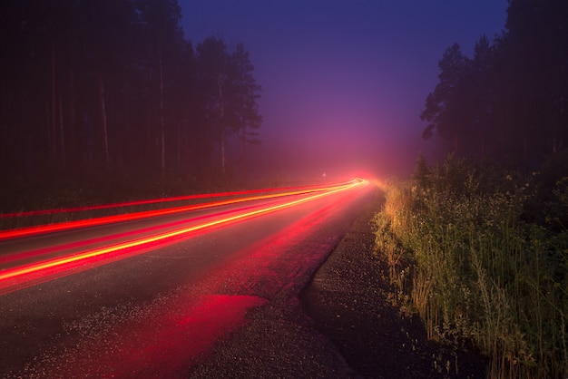 Traces of the headlights on the road in the night forest