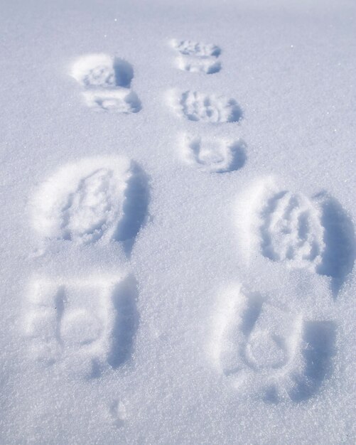 Traces of shoes in the fresh snow on a sunny day