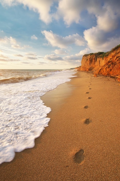 Traces on th sea shore