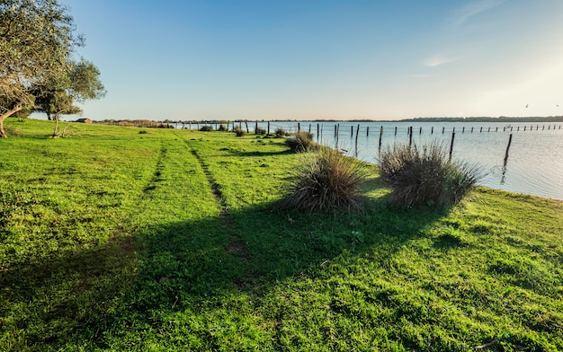 Traces of the wheels of the car on the shore of the lake