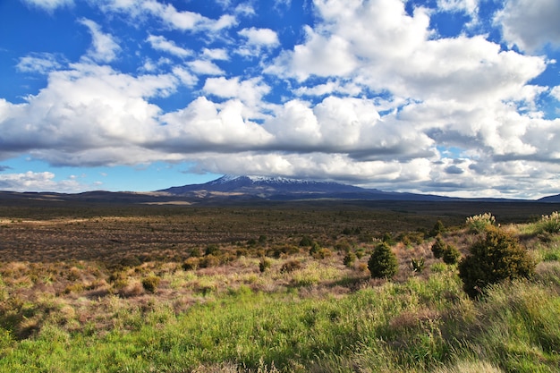 Track in Tongariro national Park, New Zealand