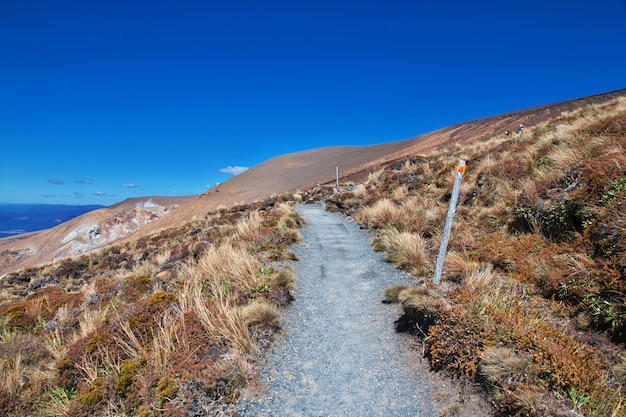 Track in Tongariro national Park, New Zealand