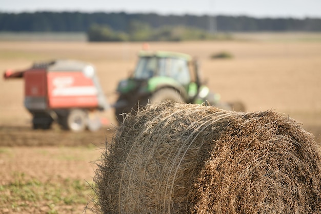 A tractor cleans the field with flax and makes bales