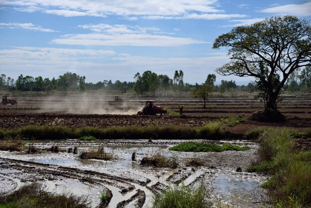 Tractor is farming in farm landscape