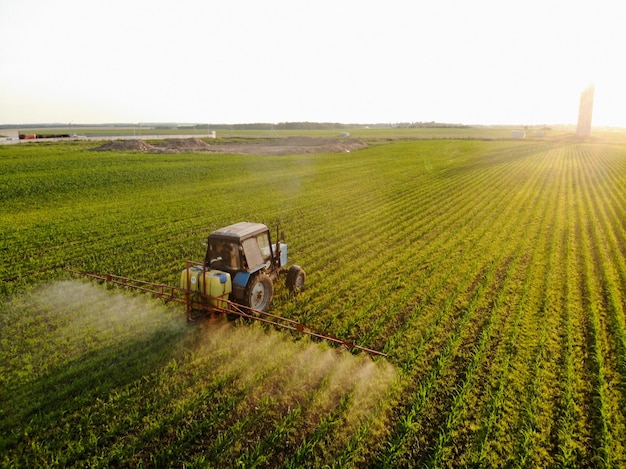 Tractor sprays pesticides on corn fields at sunset