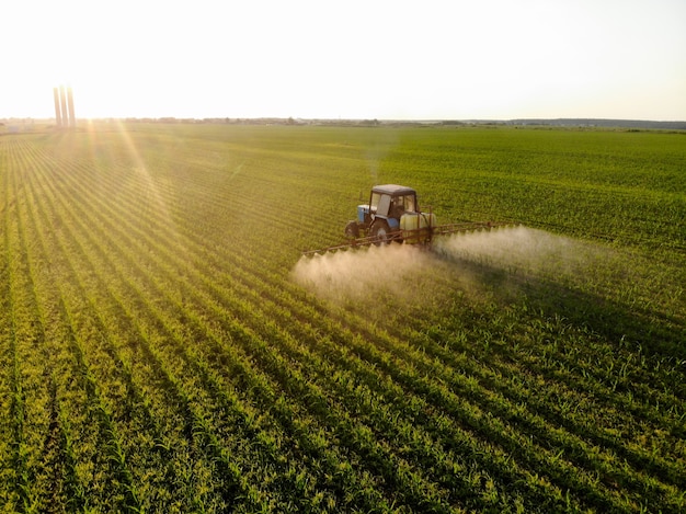 Tractor sprays pesticides on corn fields at sunset