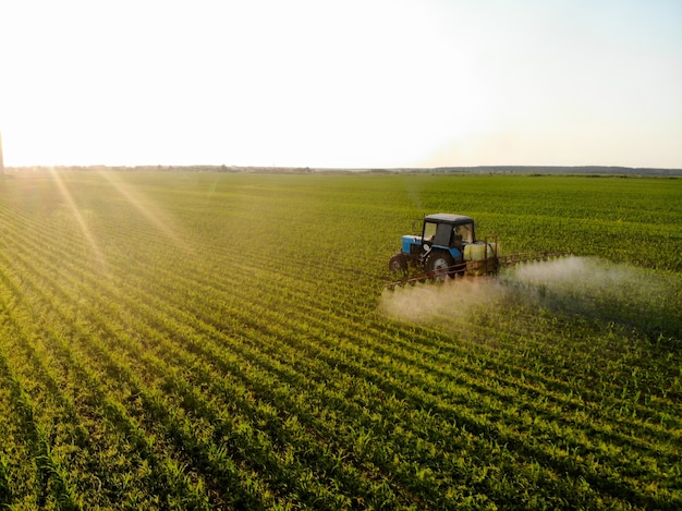 Tractor sprays pesticides on corn fields at sunset