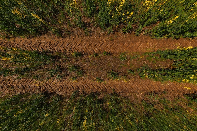 Tractor tire tracks in clay of rapseed field directly above ultra wide angle view