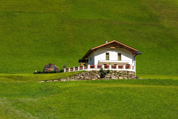 Traditional alpine house on green meadow in summer