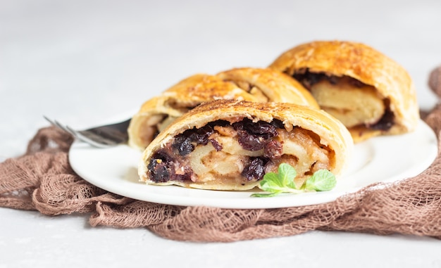 Traditional apple strudel with raisin and cinnamon on grey concrete