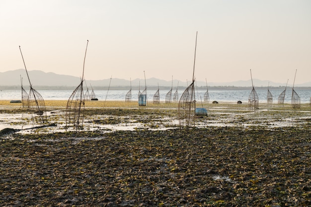 Traditional bamboo traps in Lam Takong lake of Nakhon Ratchasima