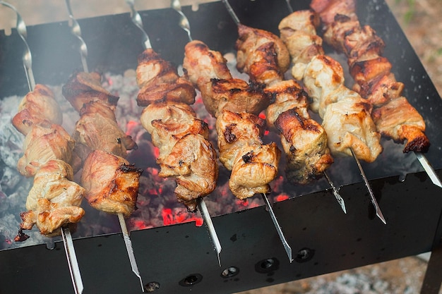 Traditional barbecue on mangal