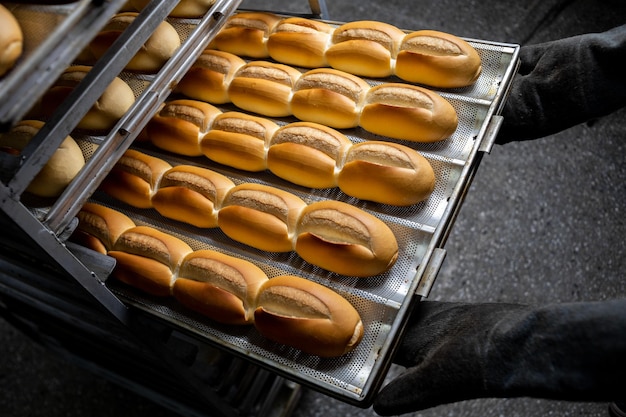 traditional Brazilian bread, known as French bread. Industrial production of French bread