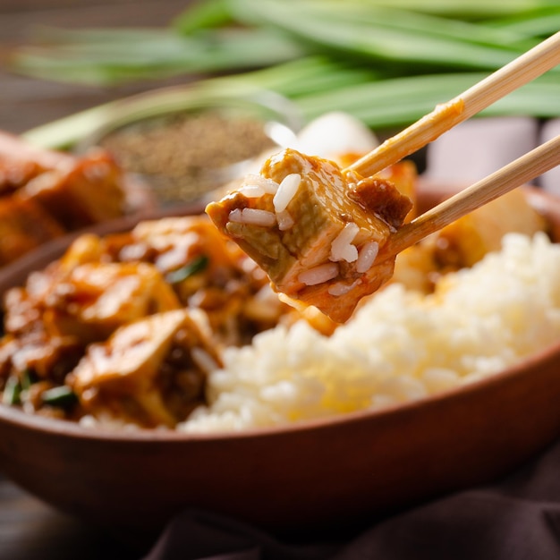 Traditional Chinese food mapo tofu dish with pork