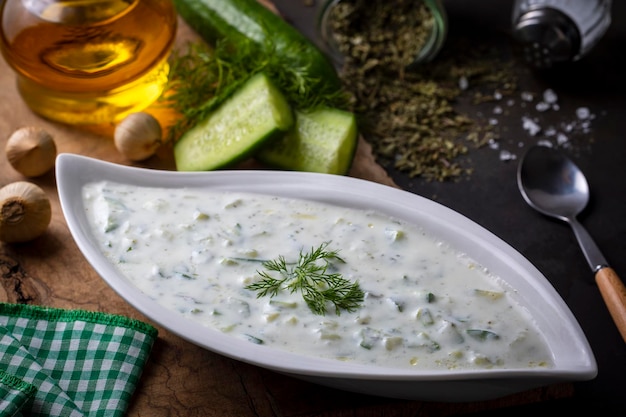 Traditional delicious appetizer; tzatziki (Turkish name; cacik)