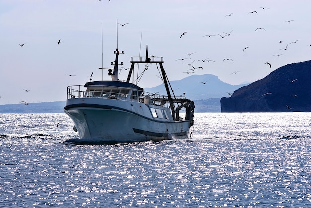 Traditional fishing boat with seagulls on the sea