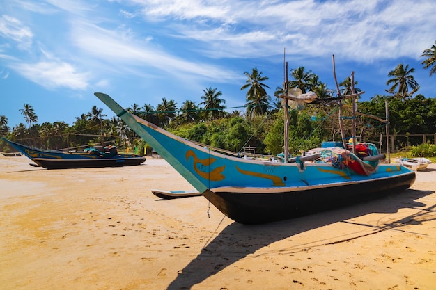 Traditional fishing boats on a sandy beach Sri Lanka