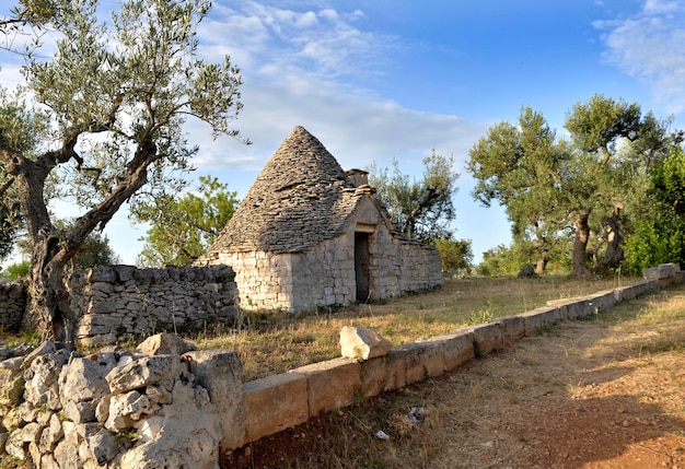 Traditional house the trulli in stone and with a conical roof in southern Italy in Puglia in a field of olive trees