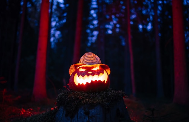 Traditional jacks head lantern for halloween on the background of a gloomy red forest concept of hor...