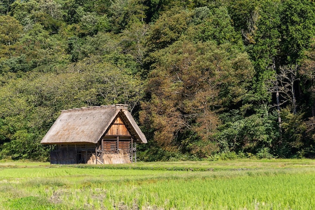 Traditional Japanese old wooden house in forest