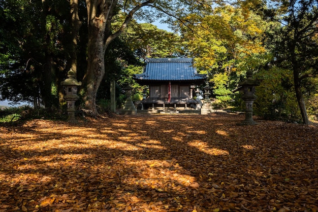 Traditional Japanese temple, stone lanterns, dry leaves ground with tree shadow, sunlight. Translation: Oba shrine.