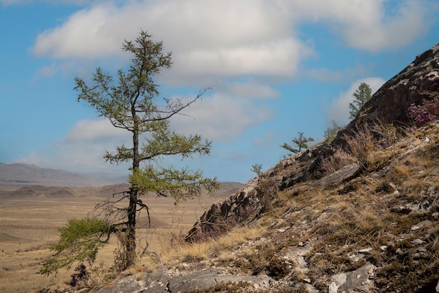 Traditional landscape of Republic of Tuva with mountains and steppe in late spring