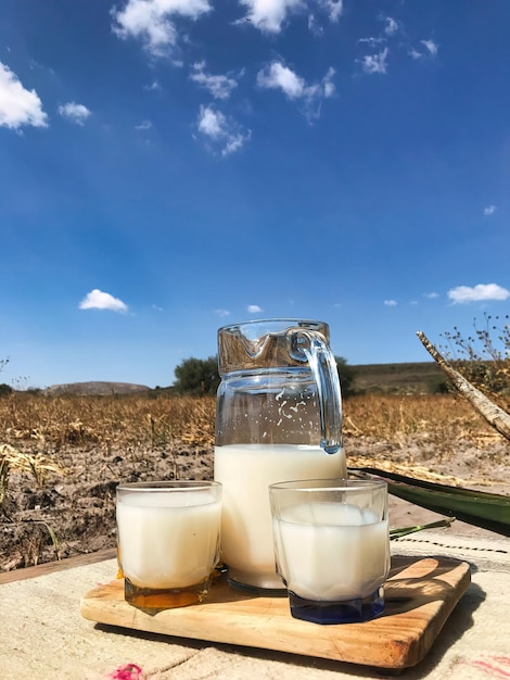 Traditional Mexican fermented drink called Pulque in clay cups with agave cactus