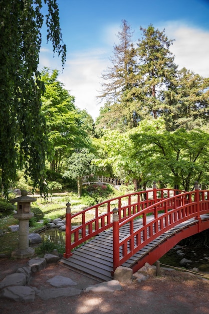 Traditional red wooden bridge on a japanese garden pond