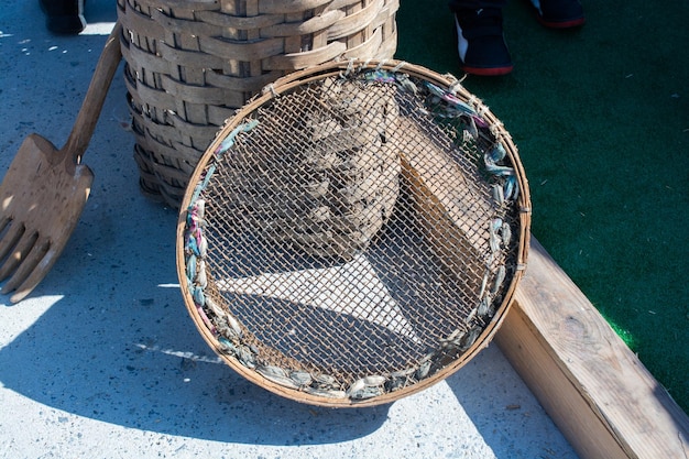 Traditional type wooden sieves