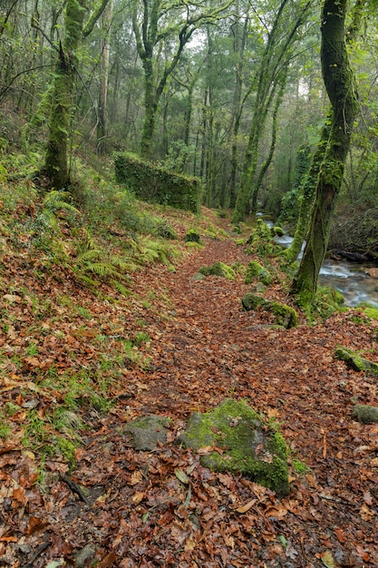 Trail along the Fraga River