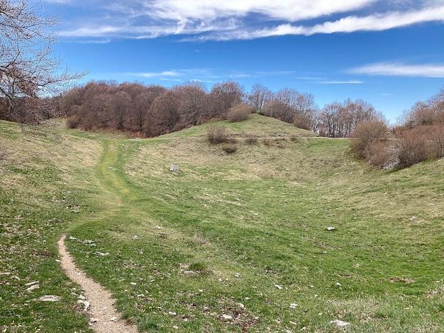 A trail in a field with trees in the background