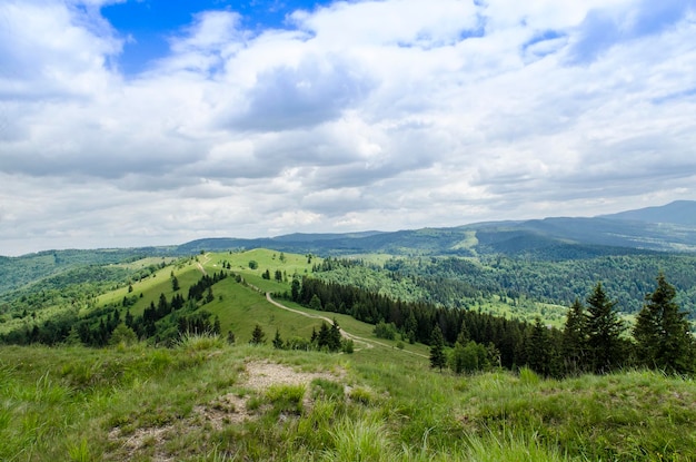 Trail in the mountains