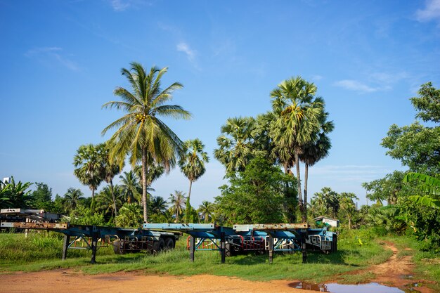 Trailer parked in the field with palm and coconuts trees and clear blue sky in background.