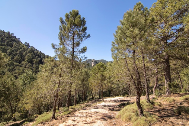 Trails with wonderful views of the Sierra De Cazorla Spain Nature tourism concept