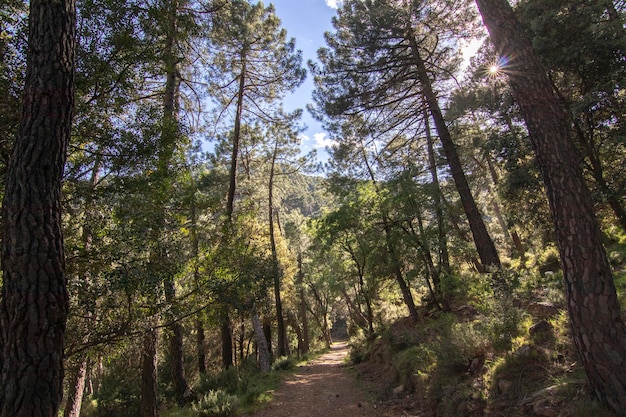 Trails with wonderful views of the Sierra De Cazorla Spain Nature tourism concept