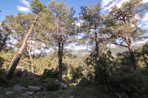 Trails with wonderful views of the Sierra De Cazorla Spain Nature tourism concept