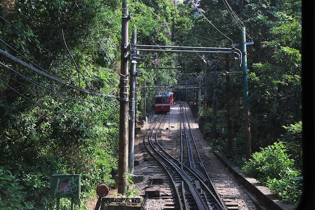 The train to Corcovado in Rio de Janeiro, Brazil