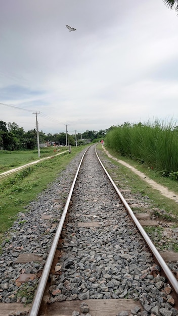 A train railway with grass and trees