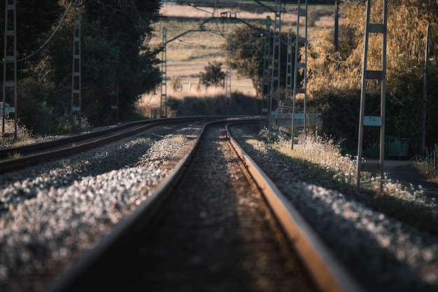 Train tracks going to the horizon in the sunset