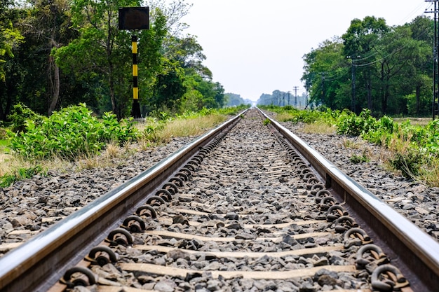 Train tracks in the middle of the forest